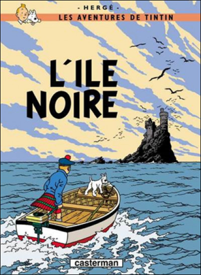 Dans la bande dessinée d'Hergé "L'ïle Noire", quel trafic Tintin démantèle-t-il ?