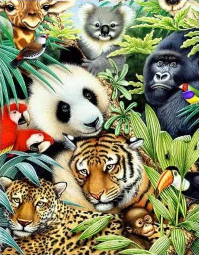 Quel est votre animal pr&eacute;f&eacute;r&eacute; parmi ceux-ci ?