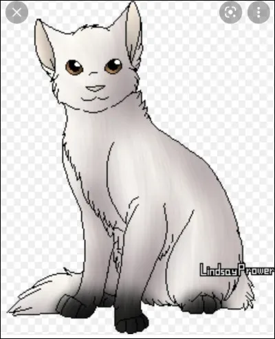 Comment est ton compagnon ?