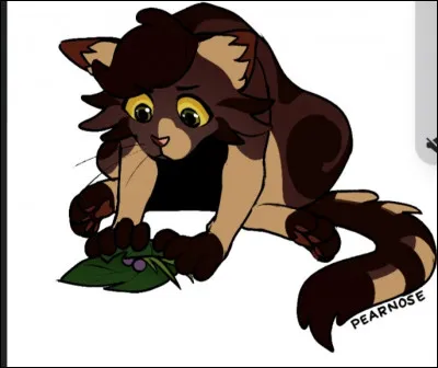 En quoi es-tu la meilleure ?