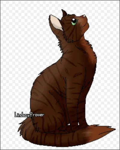 Quel est ton grade ?