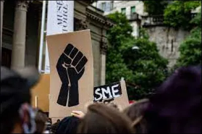 Quel mouvement politique est né en 2013 aux États-Unis ?