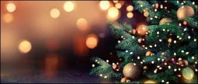 Quel est le nom du quartier de Brooklyn étant réputé pour être un des quartiers les mieux décorés de tous les USA ?