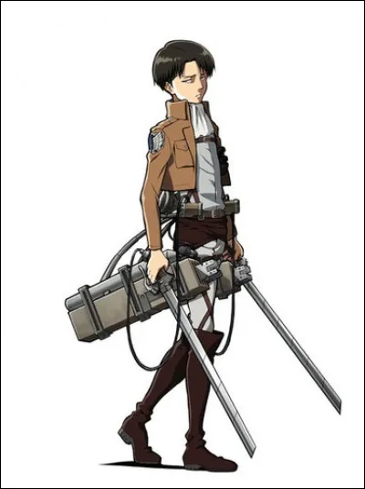 Quelle taille fait Levi ?
