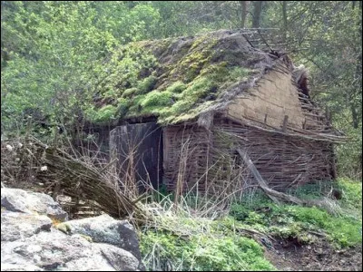 Quel journaliste a écrit "la Télé rend fou... mais j'me soigne" ?