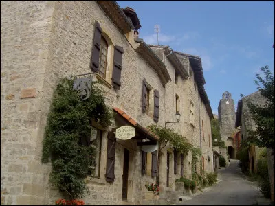 Dans quel département visiterez-vous le village de Bruniquel ?