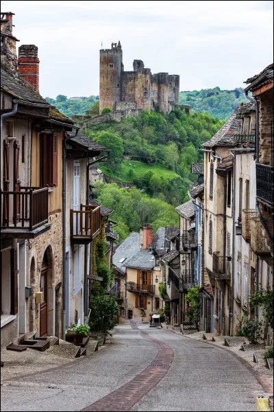 Dans quel département verrez vous le village de Najac, bâti sur un éperon rocheux et dominé par son château ?