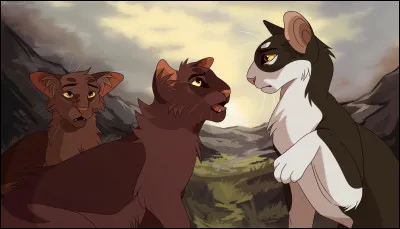 Écorce de Chêne ...