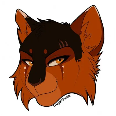 Qui est le premier chat qu'Ombre d'Érable a « pris » à Étoile Balafrée ?