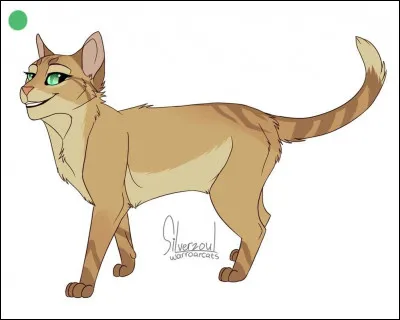 Tempête de Sable ...