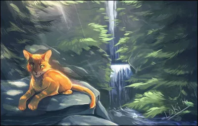 Une allusion à Étoile de Feu est présente dans « La Vengeance d'Étoile Filante ».