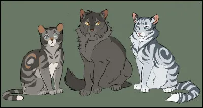 Rivière d'Argent...