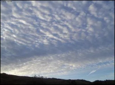 Comment s'appelle cette sorte de nuage ?