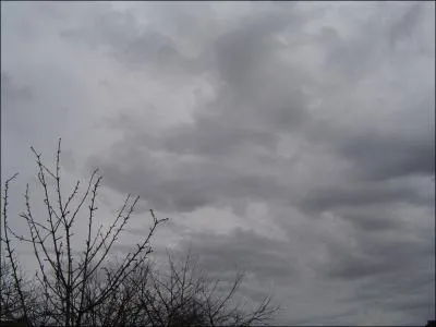 Comment s'appelle cette sorte de nuage ?