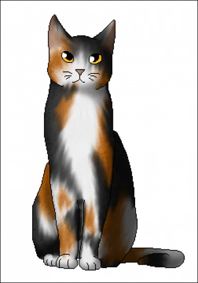 Quels sont les chatons de la première portée de Poil de Châtaigne et Poil de Fougère ?