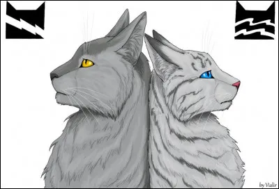 Qui sont les demi-frères de Plume Grise ?