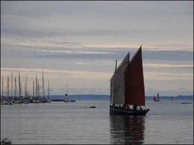 Complétez : (**) étudie la fréquentation des musées, etc, sintéresse donc au public de lart.