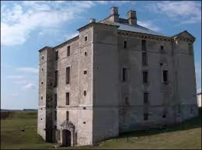 Nous sommes au château de Maulnes, à Cruzy-le-Châtel. Village de Bourgogne-Franche-Comté, dans l'arrondissement d'Avallon, il se situe dans le département ...
