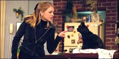 Est-ce que tu arrives à interagir avec un animal ?
(Pour oui, il faut que ça se répète.)