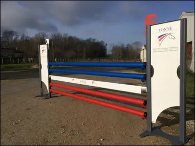 Parmi ces races laquelle se distingue en saut d'obstacles ?