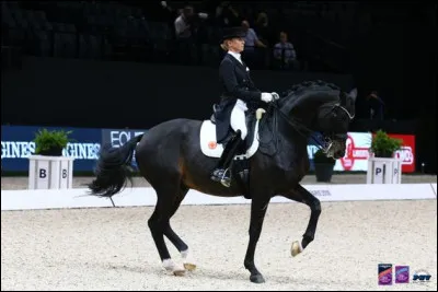 Laquelle de ces figures de manège n'éxiste pas ?