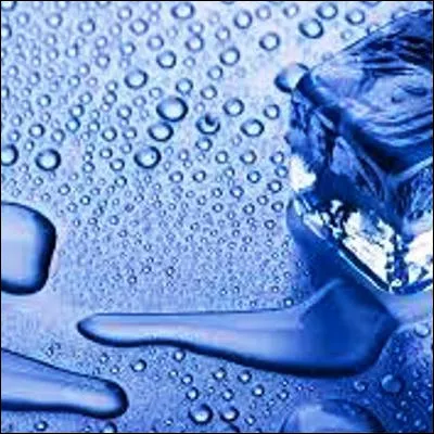 Quel poisson de la famille des cyprinid&eacute;s est connu pour sa fra&icirc;cheur proverbiale ?