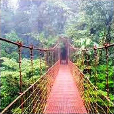 Quel fruit, dont le principal producteur mondial est le Costa Rica, est riche en brom&eacute;line, un enzyme poss&eacute;dant des capacit&eacute;s antidouleurs et anti-inflammatoires ?