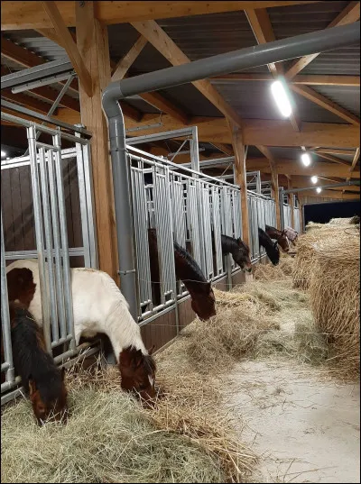 Quels Galops as-tu ?