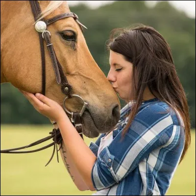 Tu veux un cheval pour :