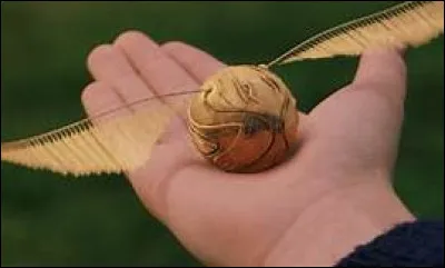 Joues-tu au quidditch ?