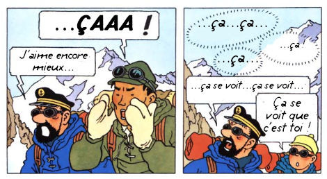 Tintin fait rien qu'à copier ! (13)