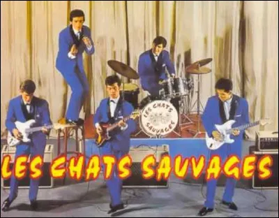 Qui &eacute;tait membre du groupe rock fran&ccedil;ais, ''Les Chats sauvages'' ?