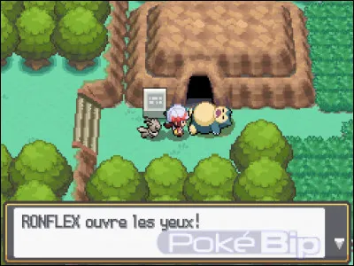 À quel niveau est le Ronflex dormant en face des Caves Taupiqueur ?