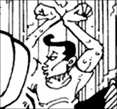 Quel est cet animé ?