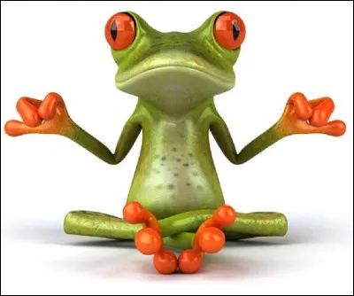 La grenouille est ''anoure''. Que veut dire ''anoure'' ?