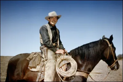 Qui réalise "Les Implacables", avec Clark Gable, Jane Russell et Robert Ryan, dans lequel les personnages traversent le Montana et les territoires indiens ?