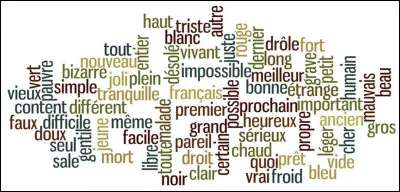 Quel adjectif te décrit le mieux ?