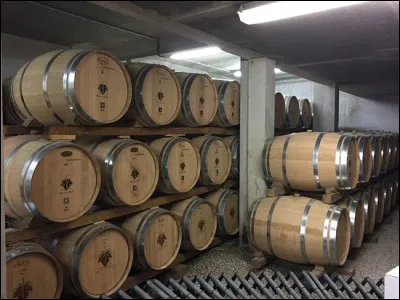 Commune de l'Aude, située dans les Corbières près de l'étang de Leucate :