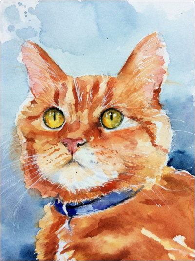 De quelle couleur est le pelage dÉtoile de Feu ?