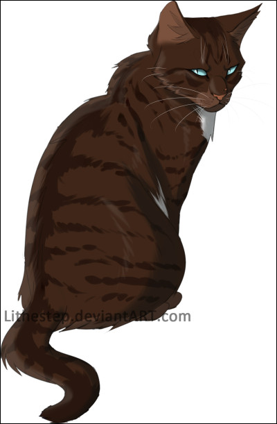 Qui est son pire ennemi ?