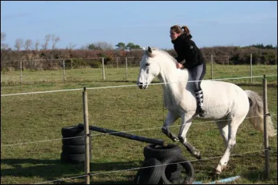On monte sans selle on monte à...