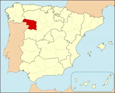 Quelle est cette ville fortifiée, capitale de la région de Zamora traversée par le fleuve Douro, célèbre pour sa cathédrale de 1151 à la coupole byzantine ?