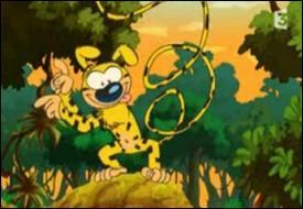 Quel est ce dessin anim ?