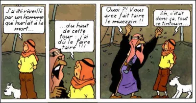 Tintin, en agent secret un peu dépassé par la culture locale... Dans quel film ?