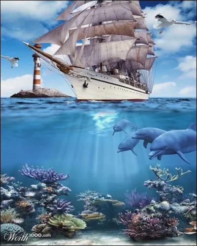 Retrouvez le nom d'un véhicule français !