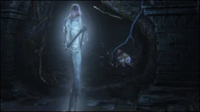 Les Pthumériens possédaient plusieurs régions dans leur royaume. Laquelle d'entre elles n'a jamais existé ?