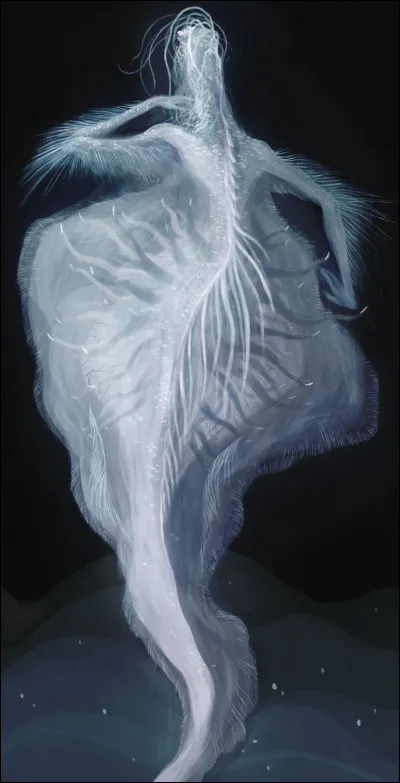 Le nom du Grand Kos peut aussi être prononcé...