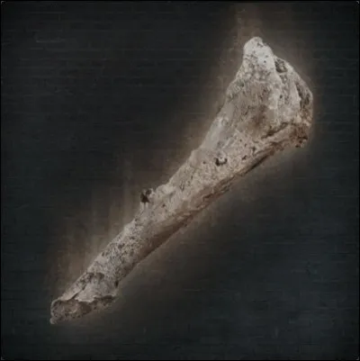 Tous les premiers Chasseurs de l'Atelier étaient les disciples de Gehrman. Ce dernier leur apprenait une technique leur permettant d'améliorer leurs esquives et leur vitesse. Quel est le nom de cette technique ?