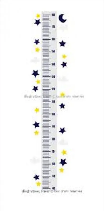 Le dessin d'observation doit faire la taille...