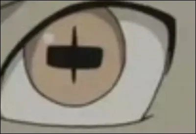 Quel est le nom de ce mode ?